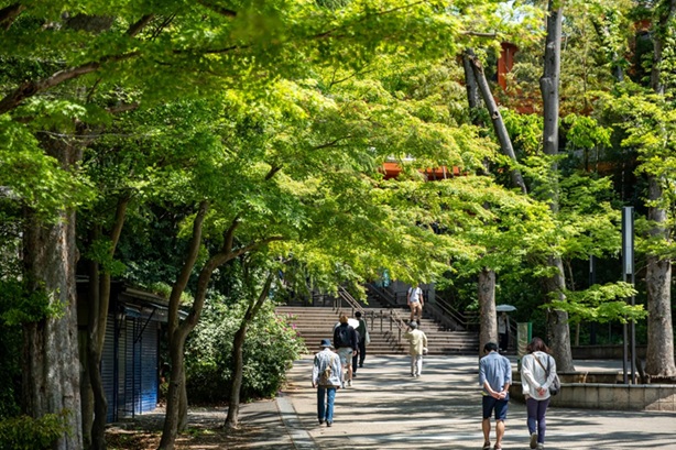 吉祥寺駅から近いプリスクール・インターナショナルスクールを選ぶポイント